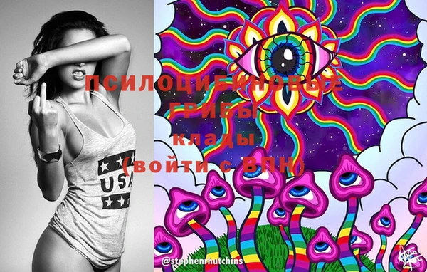 стафф Ельня