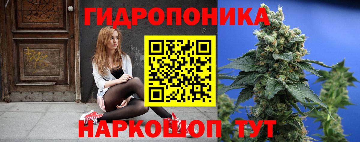Конопля семена Калининград